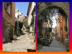 183 D24 BORMES LES MIMOSAS 2_000025